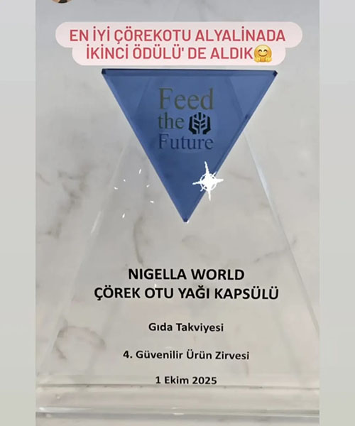 WhatsApp Image 2026-03-03 at 17.11.42